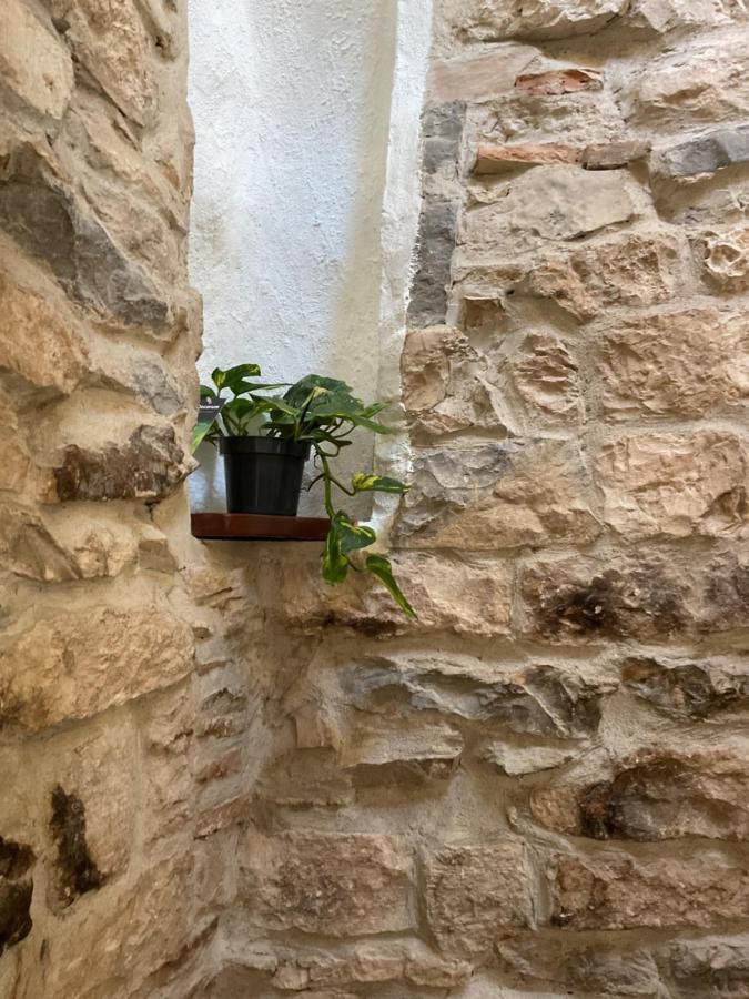 Appartement Place Aux Herbes à Nîmes Extérieur photo